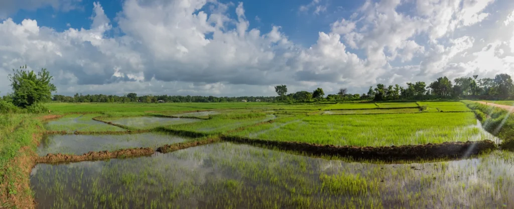 2020-Lanka-06